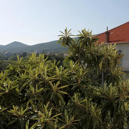 And With Parking Space Mrljane, Pasman - 299 게스트하우스 Mali Pašman